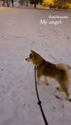 aryssa614 Altpins Profile Picture