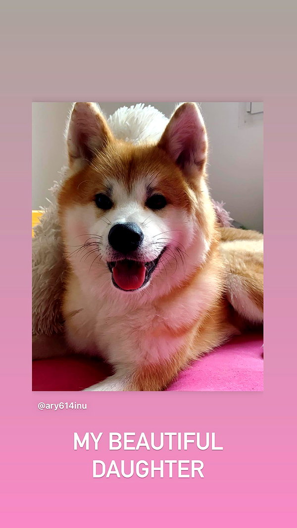 aryssa614 instagram image archive image