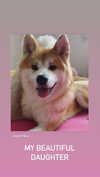 aryssa614 Altpins Profile Picture