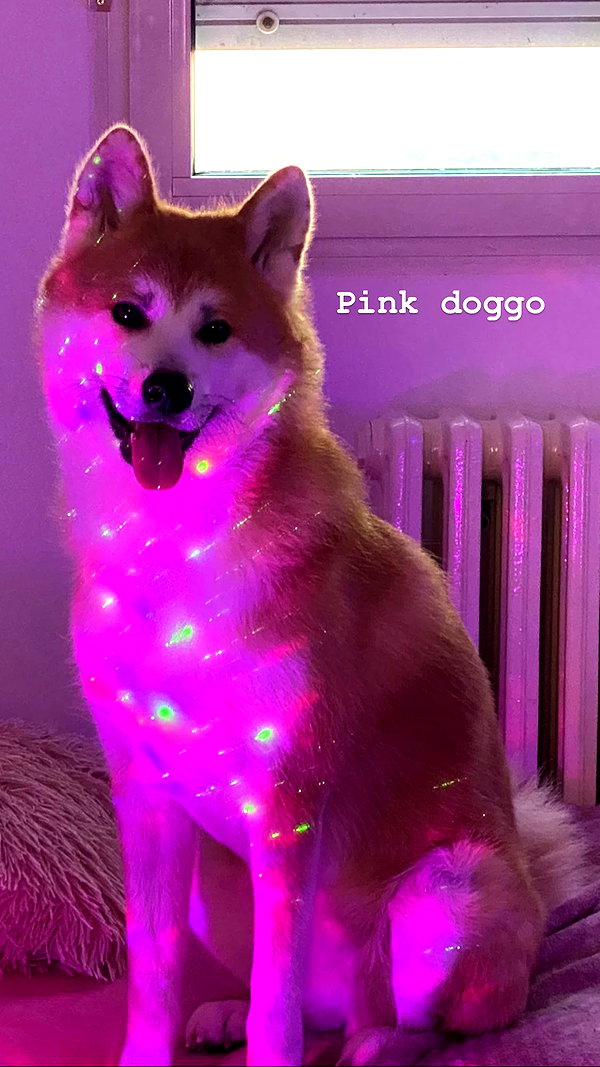 aryssa614 instagram image archive image