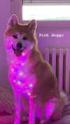 aryssa614 Altpins Profile Picture