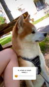 aryssa614 Altpins Profile Picture