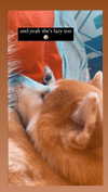 aryssa614 Altpins Profile Picture