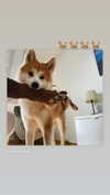 aryssa614 Altpins Profile Picture