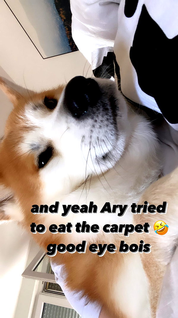 aryssa614 instagram image archive image
