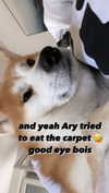 aryssa614 Altpins Profile Picture