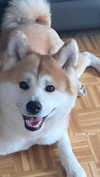 aryssa614 Altpins Profile Picture