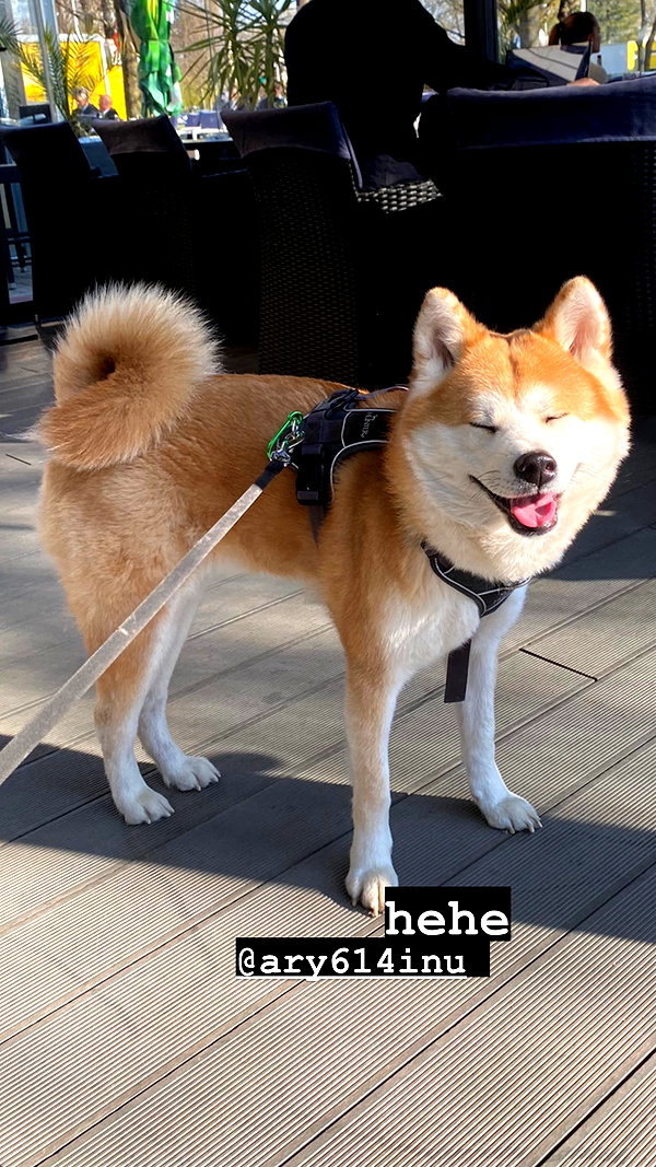 aryssa614 instagram image archive image