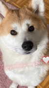 aryssa614 Altpins Profile Picture