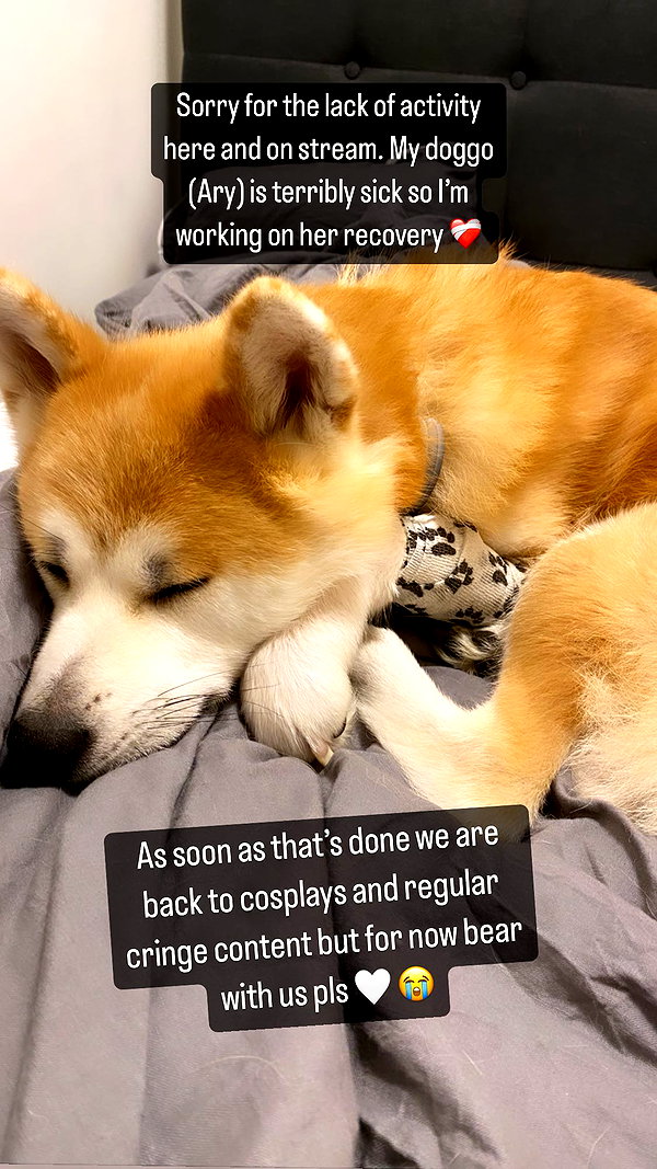 aryssa614 instagram image archive image