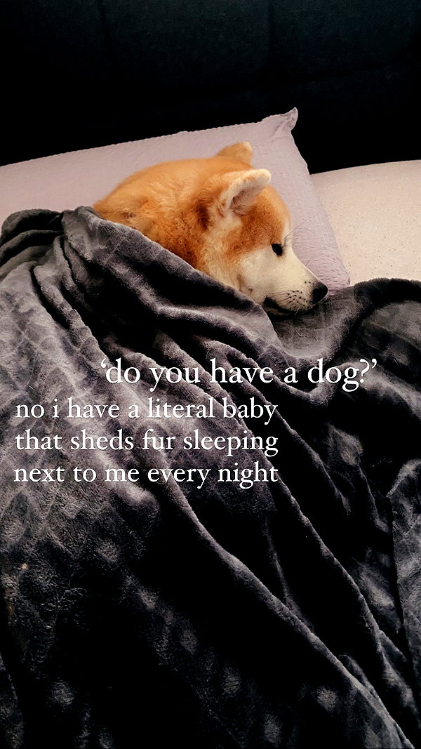 aryssa614 instagram image archive image