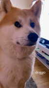 aryssa614 Altpins Profile Picture