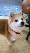 aryssa614 Altpins Profile Picture