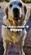 aryssa614 Altpins Profile Picture