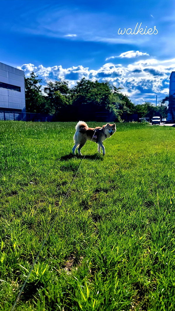 aryssa614 instagram image archive image
