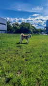 aryssa614 Altpins Profile Picture