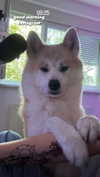 aryssa614 Altpins Profile Picture