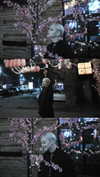 asuna__nineko Altpins Profile Picture