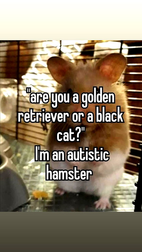 avitallllllll instagram image archive image