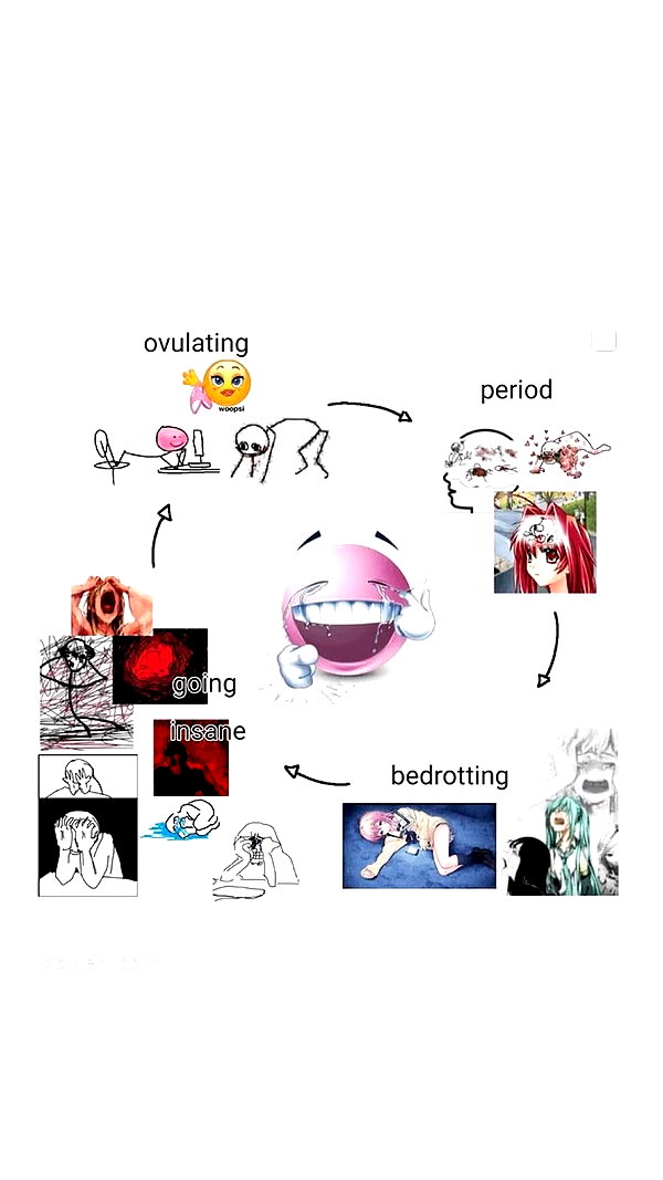 avitallllllll instagram image archive image