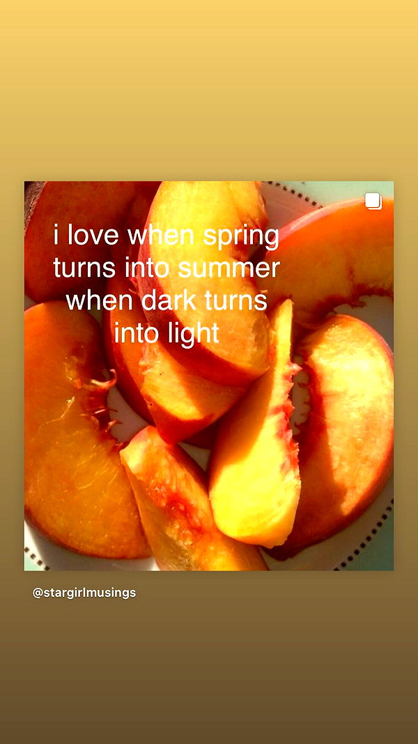 avitallllllll instagram image archive image
