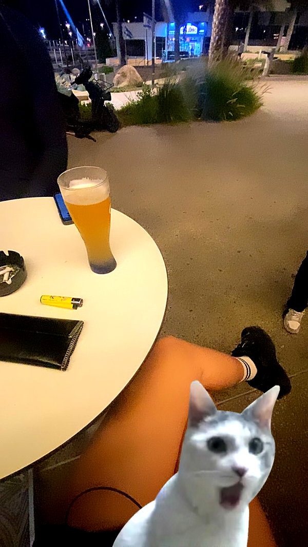 avitallllllll instagram image archive image