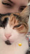 avitallllllll Altpins Profile Picture