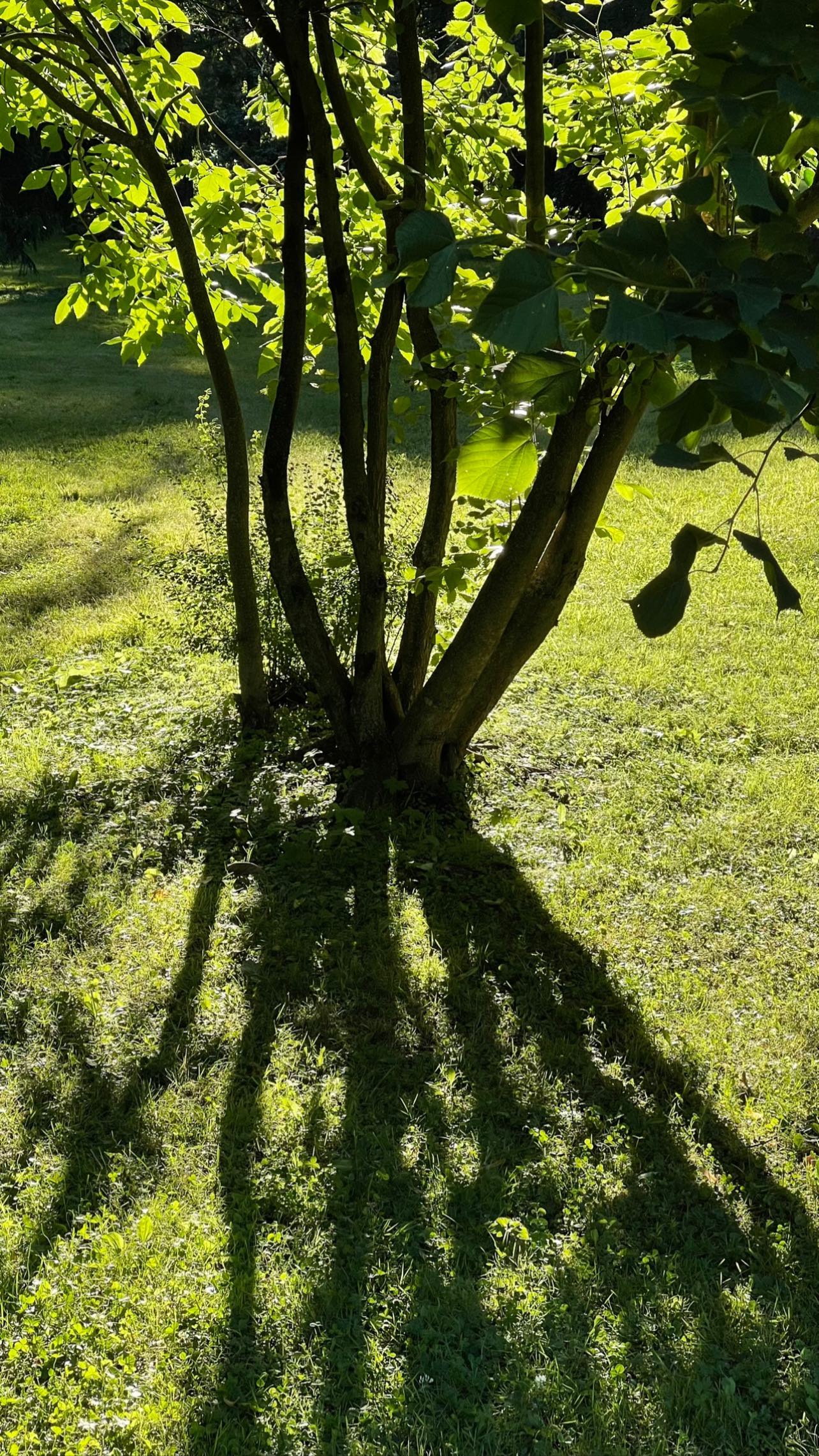 ayguldavlletova instagram image archive image