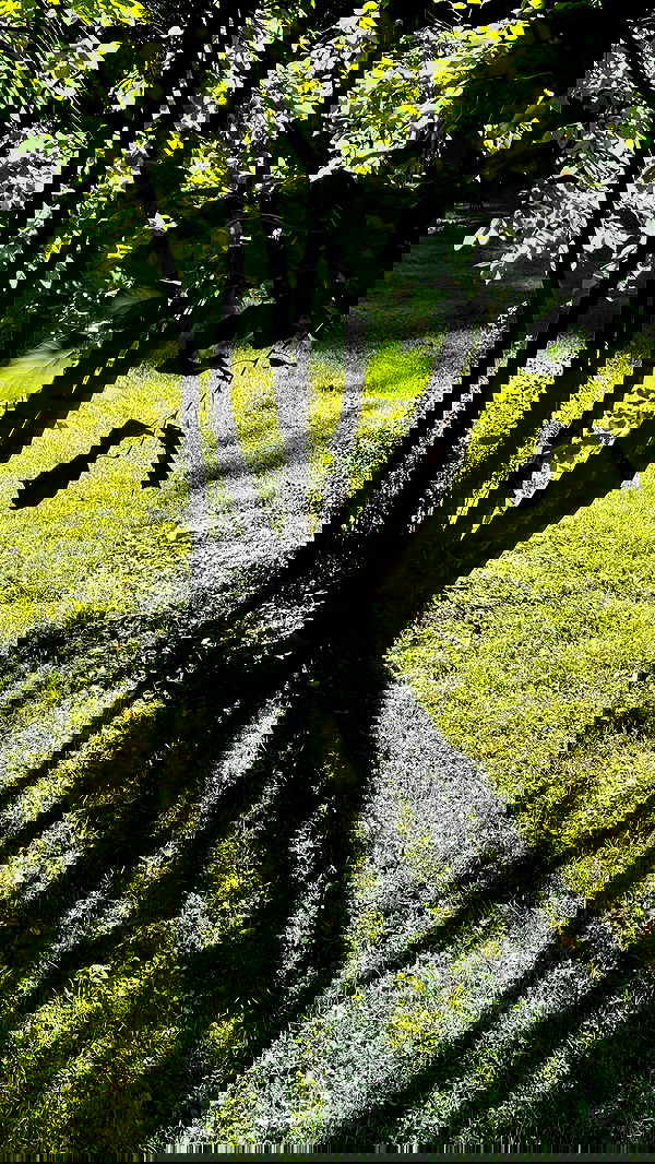 ayguldavlletova image ~ Altpins