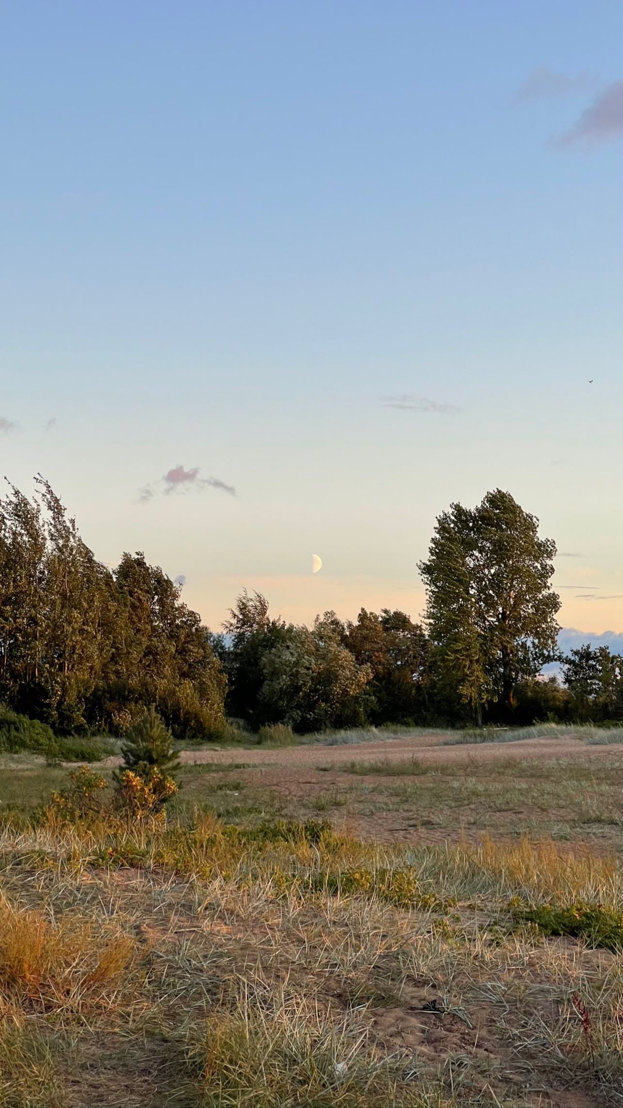 ayguldavlletova instagram image archive image