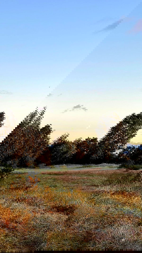 ayguldavlletova image ~ Altpins