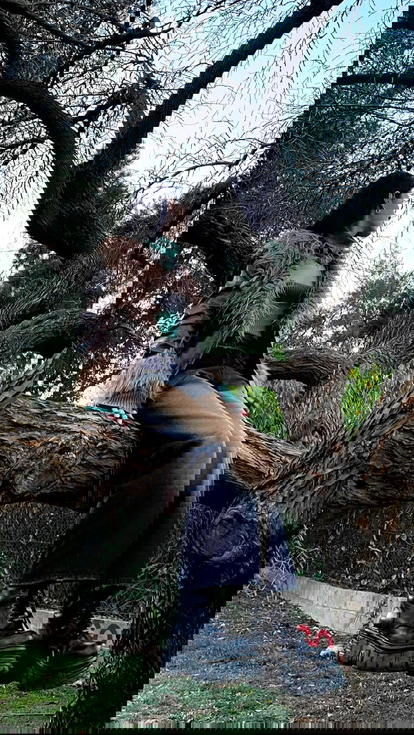 ayguldavlletova image ~ Altpins