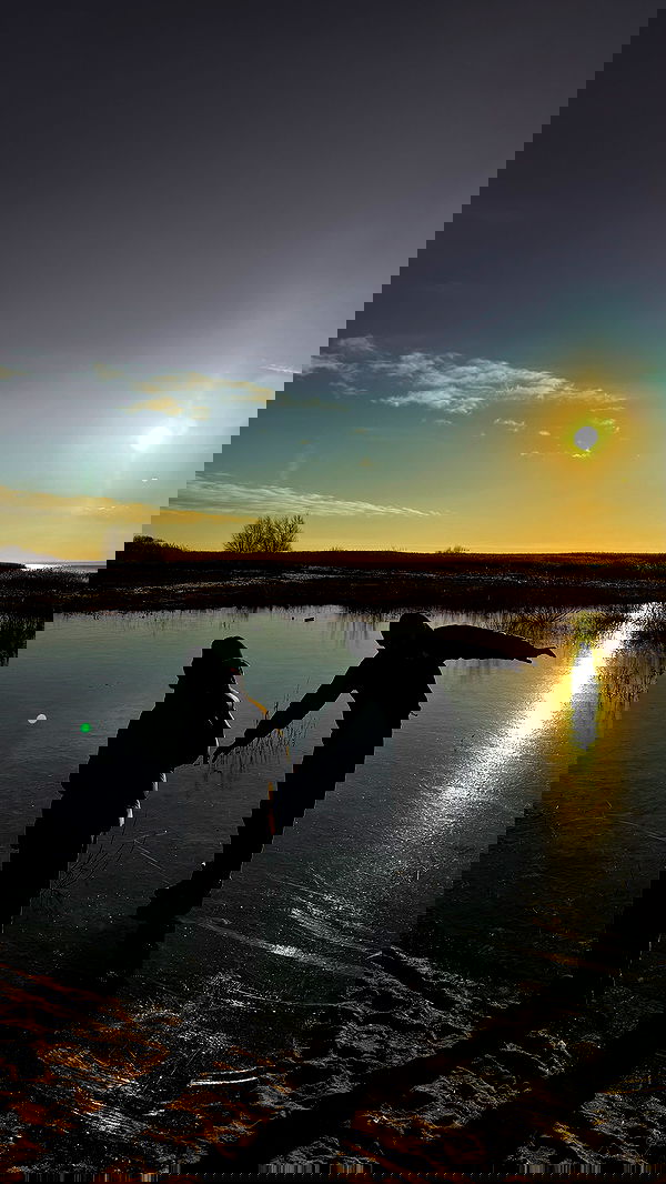 ayguldavlletova image ~ Altpins