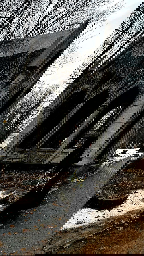 ayguldavlletova image ~ Altpins