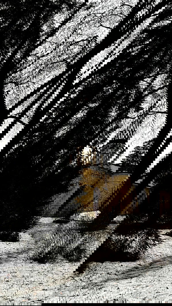 ayguldavlletova image ~ Altpins