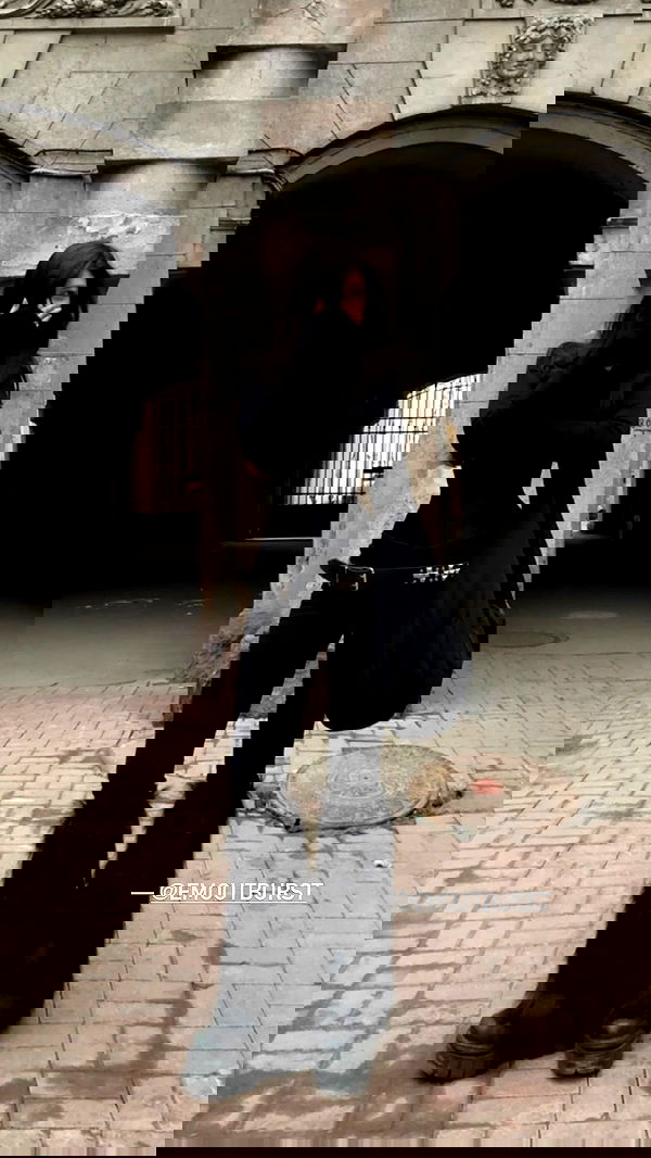 ayguldavlletova image ~ Altpins