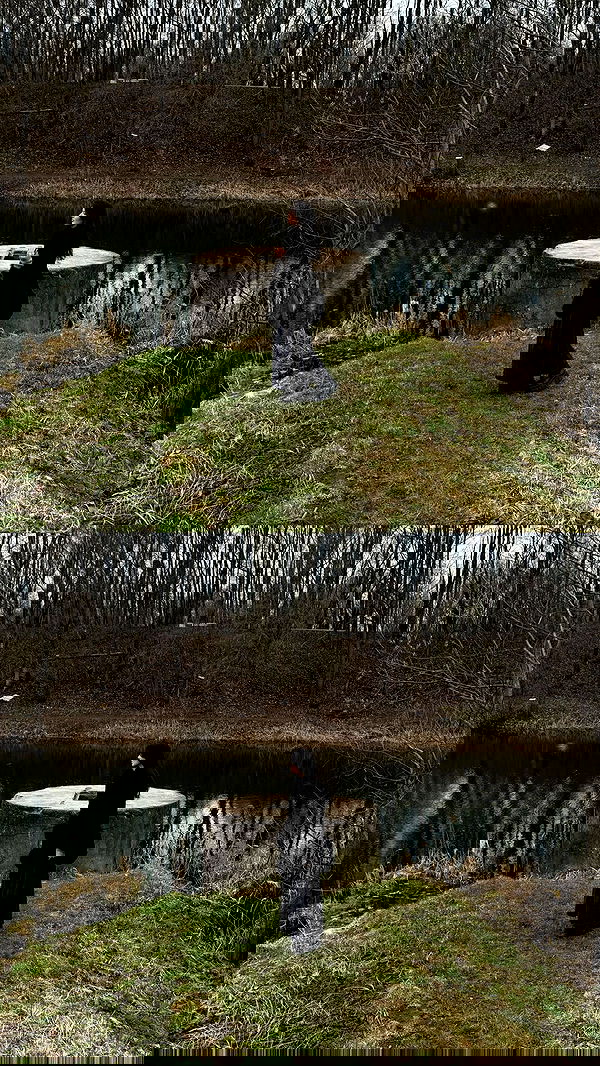 ayguldavlletova image ~ Altpins