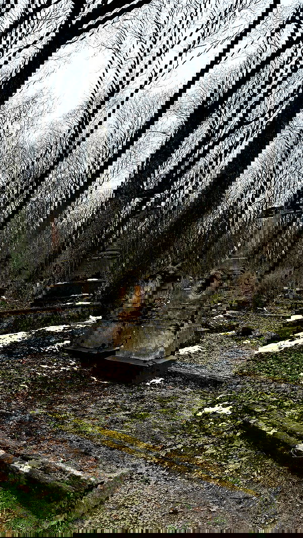 ayguldavlletova image ~ Altpins