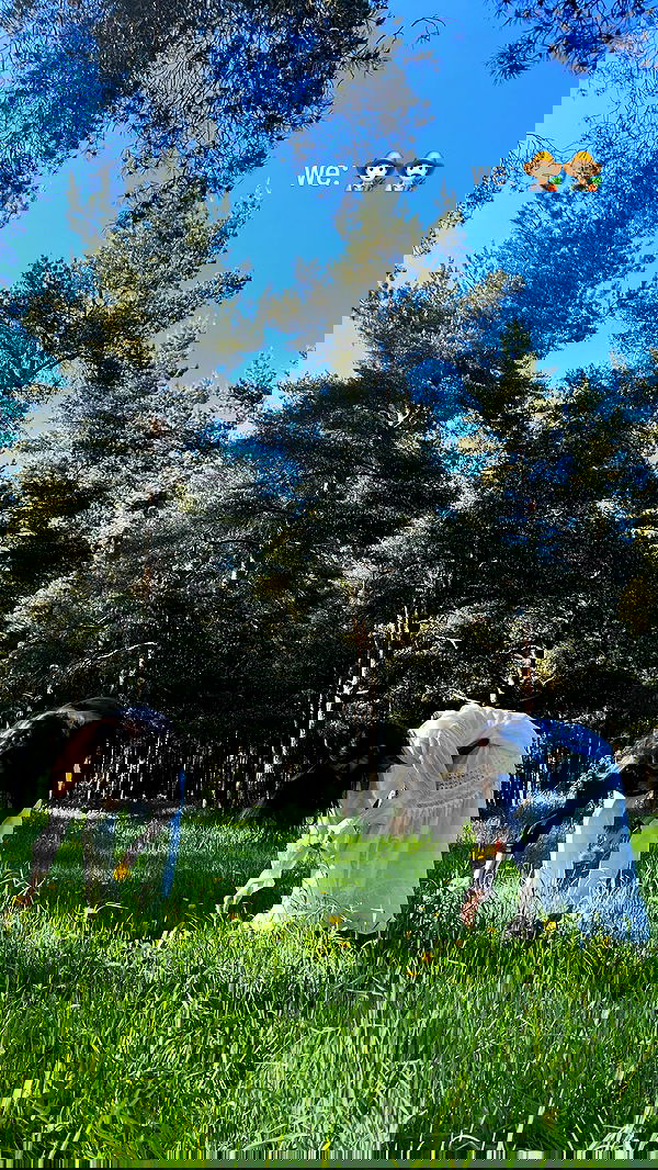 ayguldavlletova image ~ Altpins