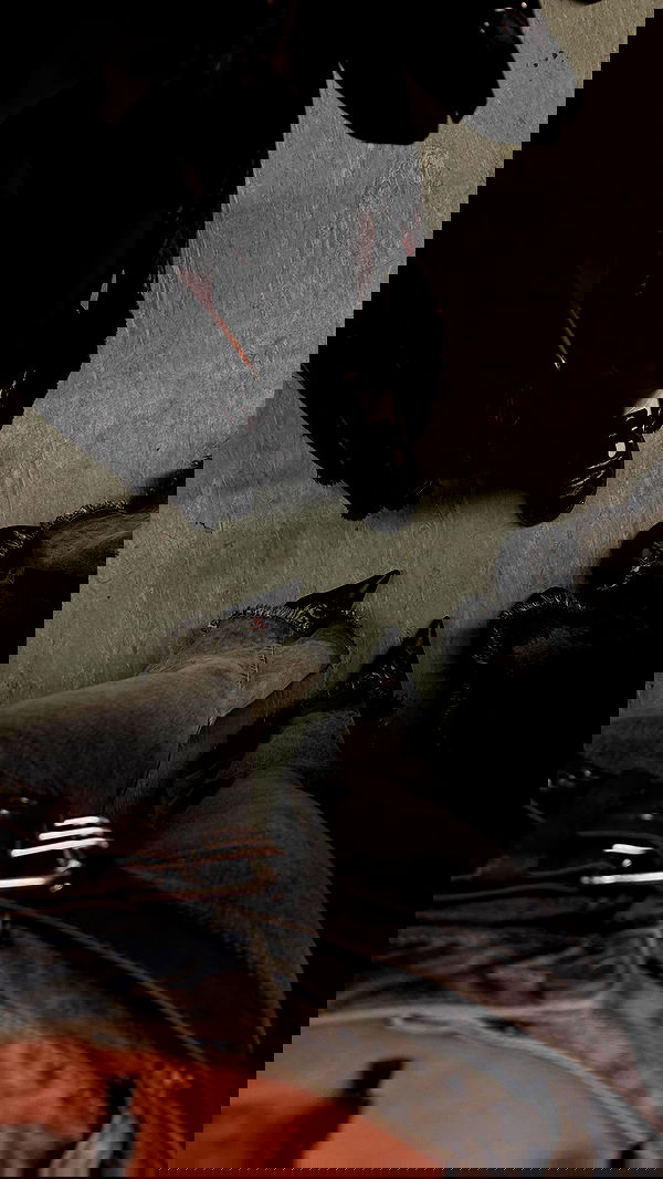 ayguldavlletova image ~ Altpins