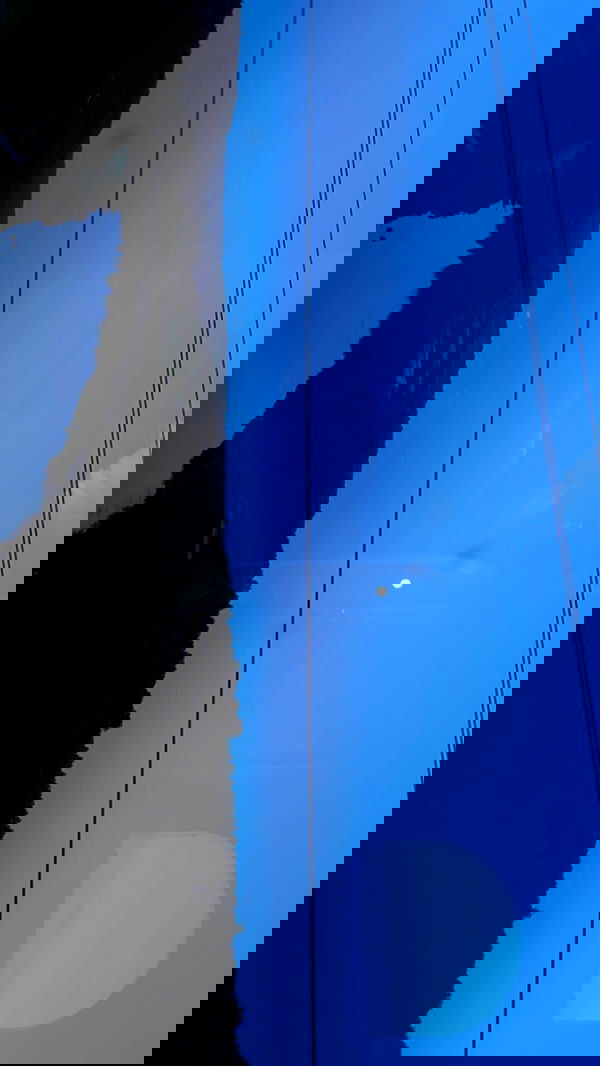 ayguldavlletova image ~ Altpins