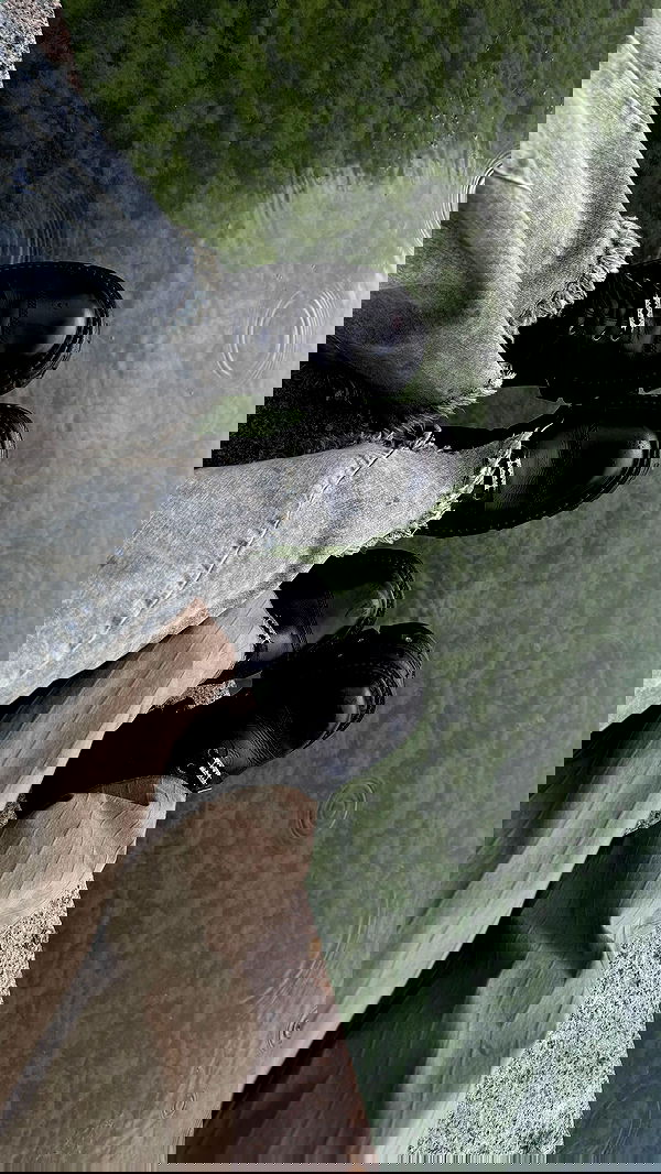 ayguldavlletova image ~ Altpins