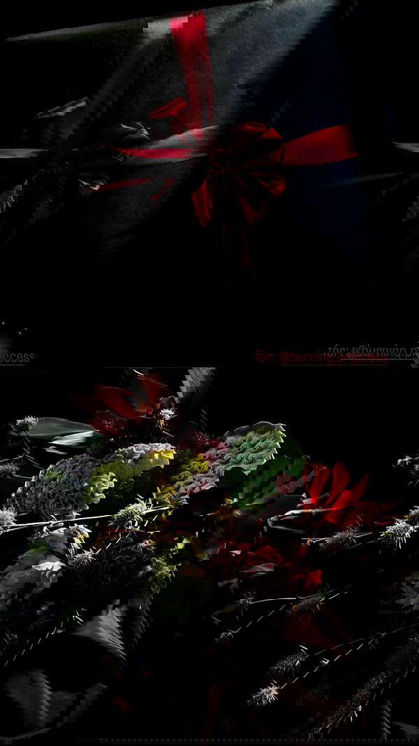 ayguldavlletova image ~ Altpins