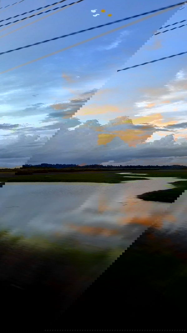 ayguldavlletova image ~ Altpins