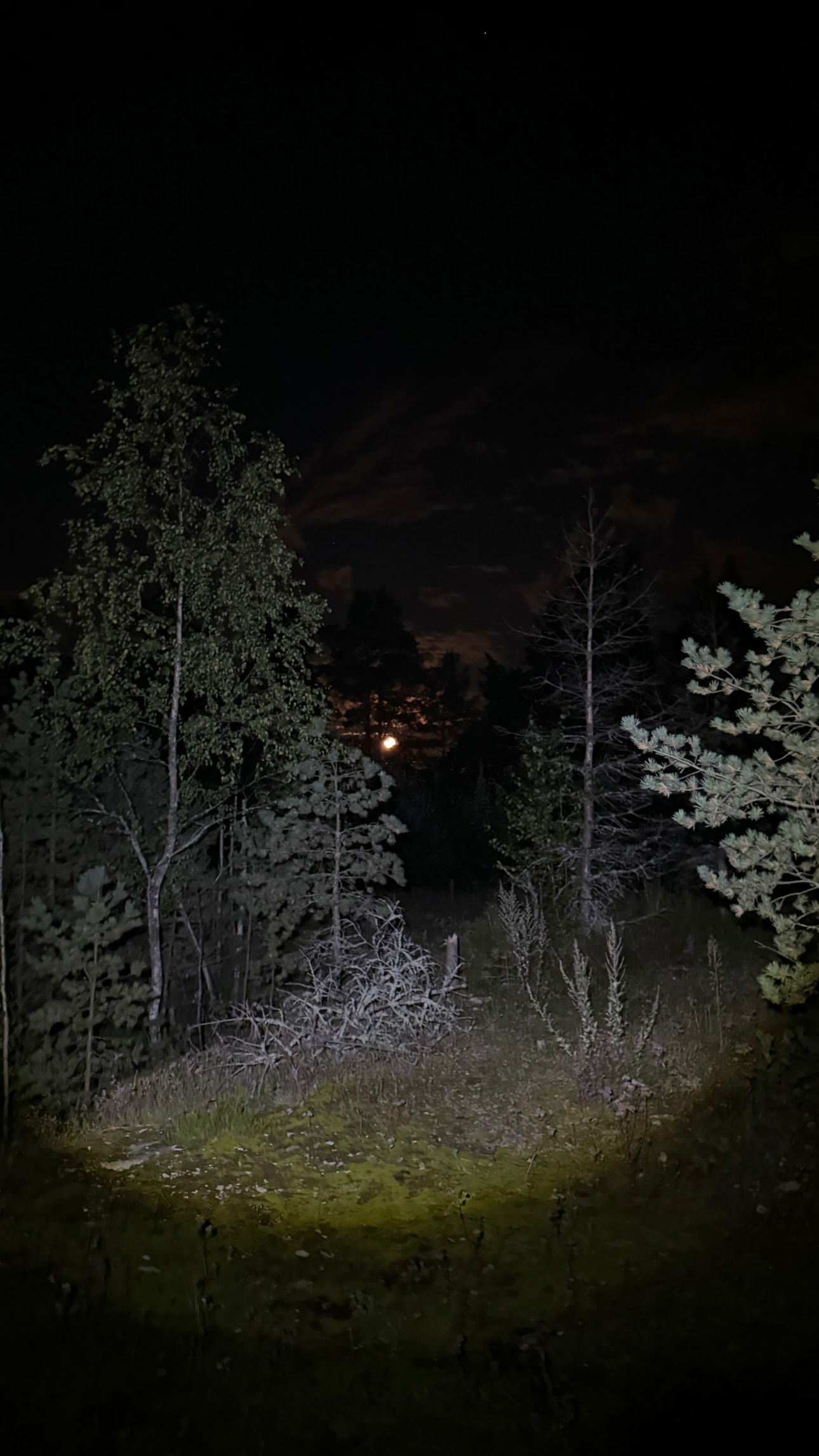 ayguldavlletova instagram image archive image