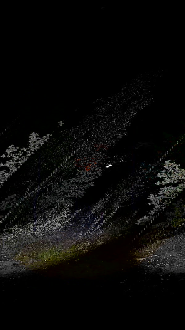 ayguldavlletova image ~ Altpins