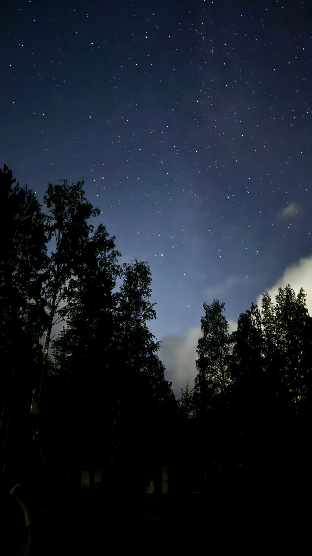 ayguldavlletova instagram image archive image