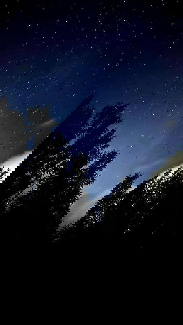 ayguldavlletova image ~ Altpins