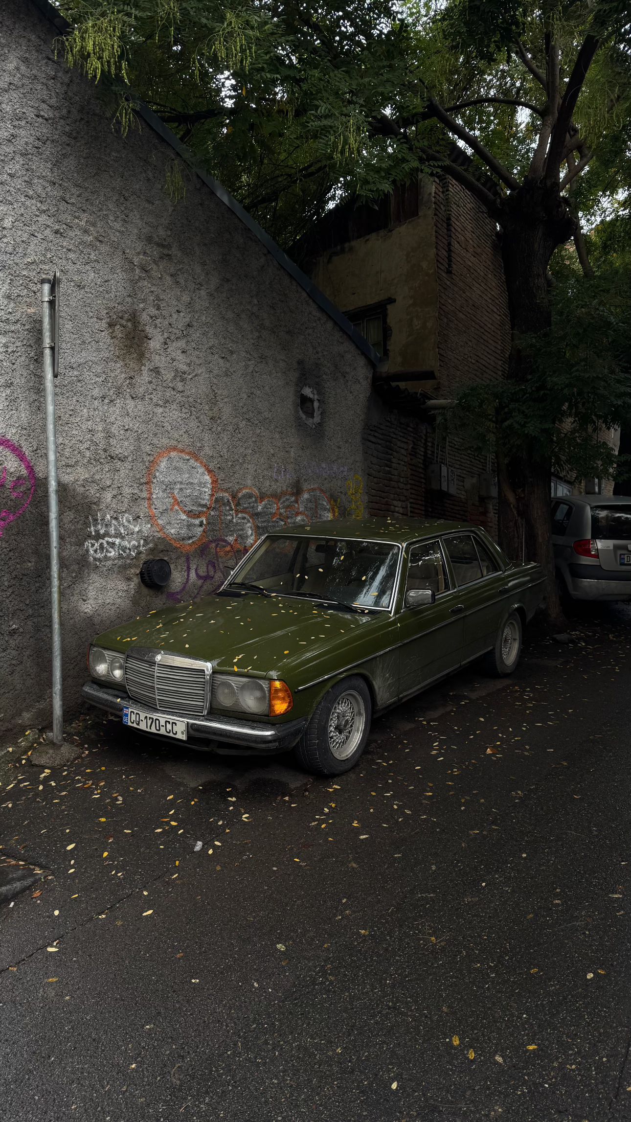 ayguldavlletova instagram image archive image