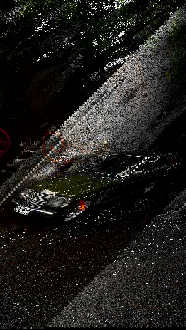 ayguldavlletova image ~ Altpins